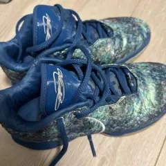 2025年最新】LEBRON 21 Abaloneの人気アイテム - メルカリ