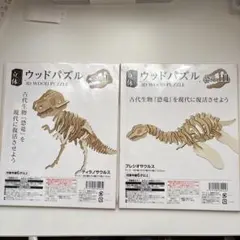 Item thumbnail for item 87969c35-1551-4621-b574-d6d06560683b