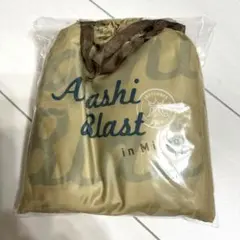 嵐 BLAST in Miyagi 宮城 レインポンチョ レインコート