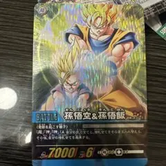 ドラゴンボールカード 孫悟空&孫悟飯