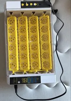 인큐베이터