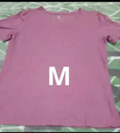 Mサイズ 半袖Tシャツ earth