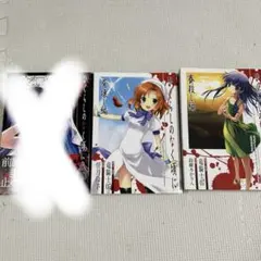 ヴァイスシュヴァルツ 涼宮ハルヒの憂鬱 未来へつながる道 みくる RR 4