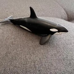 アニア フィギュア シャチ