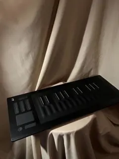 2026年最新】roli seaboardの人気アイテム - メルカリ