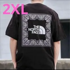 【日本未発売】THE NORTH FACEペイズリーＴシャツ ブラック★2XL