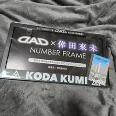 倖田來未 109 コラボ D.A.D ナンバーフレーム