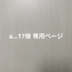a…17様 専用