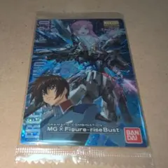 【未開封】ガンプラパッケージアートカード　フリーダムガンダムキラ・ヤマト