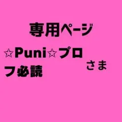 ✩Puni✩プロフ必読様　専用ページ　13セット