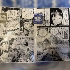 ONE PIECE ALL PAGES ロビン エニエスロビー編 2枚セット - メルカリ