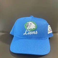 購入前コメントください