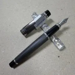 新品 廃盤 PILOT パイロット LEGNO レグノ 89s 万年筆 F 赤 - メルカリ