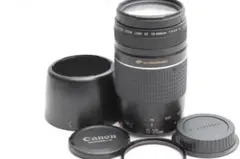 ◇大迫力超望遠!!◇Canon純正 75-300mm III型 超望遠レンズ◇ - メルカリ