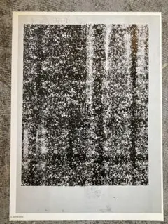 zzz様 リクエスト 3点 まとめ商品