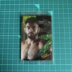 Item thumbnail for item 7b034b95-a861-44b1-b492-438f7d6610ac