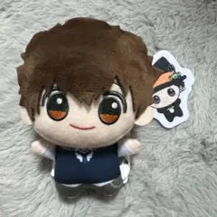 家庭教師ヒットマンREBORN! ちびぐるみ 沢田綱吉