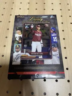 EPOCH LUXURY COLLECTION 2025 宗山塁