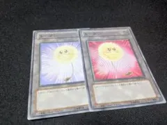 遊戯王 綿毛トークン パラレル ノーパラ ノーマルパラレル tp02-jp001