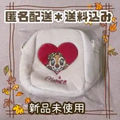 Disney【クラリス】チップ&デール&クラリス クリア窓付ポーチ