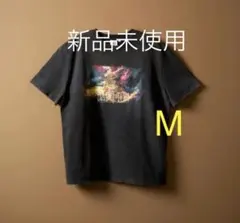 Meravel ミーラベル 半袖 Tシャツ ブラック フリーサイズ 美品 - メルカリ