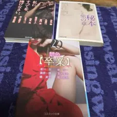 官能小説3冊 グリーンドア文庫 - メルカリ