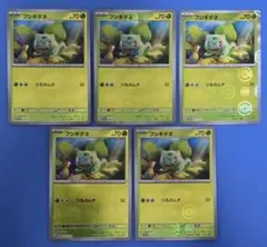 【プロモ】フシギダネ：ポケモンカード151 カードファイルセット ×5枚