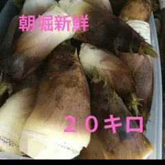 愛知産 朝堀新鮮たけのこ 約20キロ 収穫出来次第で即日発送！ - メルカリ
