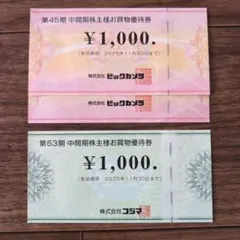 ビックカメラ・コジマ株主優待券 3000円分