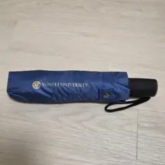 韓国　延世大学　折り畳み傘