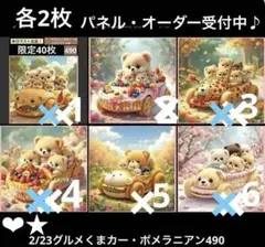 オーダーページ　2/23グルメくまカー・ポメ490レアパネル　ハンドメイド