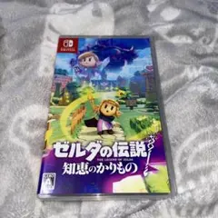 炭水化物大好き様専用 ゼルダの伝説 知恵のかりもの