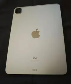 iPad Pro 11インチ 2世代 1TB シルバー ジャンク
