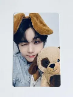 TRENDZ トレカ CHAMELEON HAVIT ハビ 하빛 84