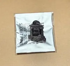 BE:FIRST シュント　BMSGフェス ピンズ