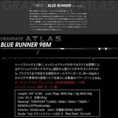 グランデージアトラスブルーランナー98M APIA アピア 【比較的美品】 992408258_1.jpg