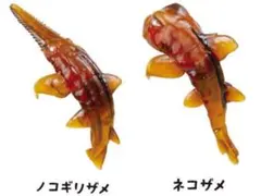 ガチャ サメの抜け殻 マスコットフィギュア2点セットまとめ売り フチコ 置き物