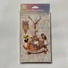 東京ディズニーリゾート 40周年 バケーションパッケージ バッグチャーム