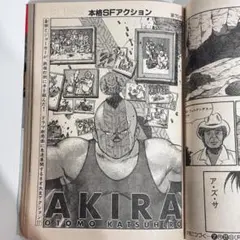 2026年最新】ヤングマガジン akiraの人気アイテム - メルカリ