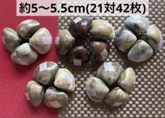 #24 貝殻セット_天然ハマグリ21対42枚 約5cm～5.5cm 中サイズ
