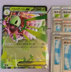 メガメガニウムex ミラー ＆汎用6枚　MEGA スタートデッキ100