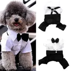 【新品、未使用】犬服　ペット服　子犬服　犬用衣装　タキシード　結婚式のサムネイル