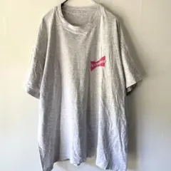 80s チャンピオントリコタグ霜降りグレーカレッジプリントTシャツ L 