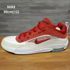 NIKE SB ナイキ エアマックス イショッド FB2393-100