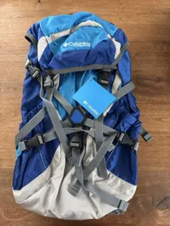 Item thumbnail for item b1119cca-5b94-4881-ac33-f059e3382d29