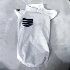 Item thumbnail for item d70fa70e-4319-46d6-a1c9-02ebc7c16759