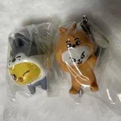 スキズ　skzoo ガチャ つまんでつなげてますこっと　リービット　ポガリ