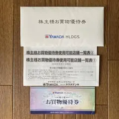 ヤマダホールディングス 株主様お買物優待券