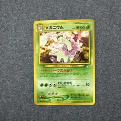 メガニウム_プレミアムファイル PROMO 第1世代 1996~1999