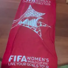 FIFA WOMEN'S WORLD CUP 2015カナダ　 バナー